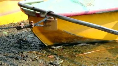 Tekne yakınındaki su yılan