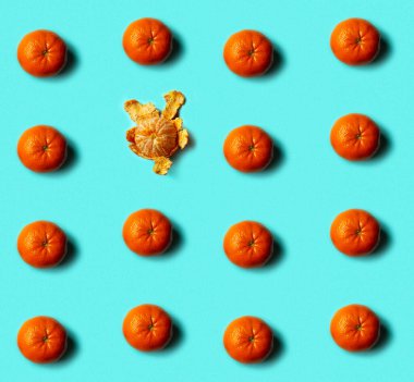 Mavi arka planda kusursuz bir mandalina deseni var. Düz yatış, üst görünüm.