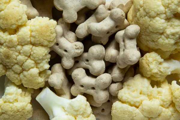 Close-up of Dog vegetarian dry crunchies in form of bone with cauliflower.