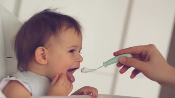 Mães Mão dando comida para sua filha bebê na cadeira alta na cozinha doméstica — Vídeo de Stock