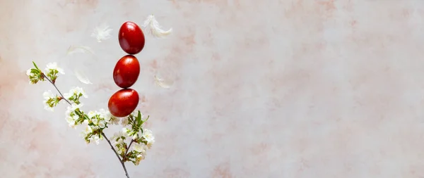 Competizione creativa di Pasqua - uova colorate naturali e ramo fiorito, spazio copia — Foto Stock