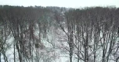 Kasabanın yakınlarındaki karlı bir kış ormanında insansız hava aracı görüntüsü. Kışın kar yağışı.