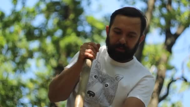 Hombre plantando un árbol — Vídeos de Stock