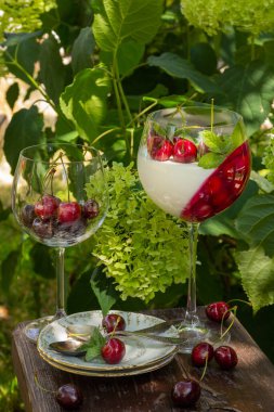 Şarap bardağında kirazlı yaz tatlısı. Bahçe arka planında dutlu panna cotta.