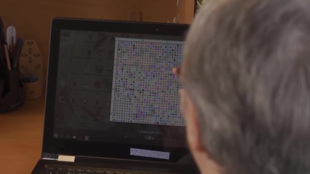 Una donna anziana ricama con schema di ricamo sul computer portatile. — Video Stock