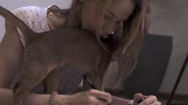 画家和她的猫在家里画了一张草图.与宠物一起工作 — 图库视频影像