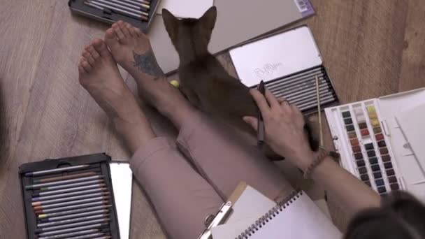 Die Künstlerin macht mit ihrer Katze eine Skizze auf dem Boden. Arbeit mit Haustieren — Stockvideo