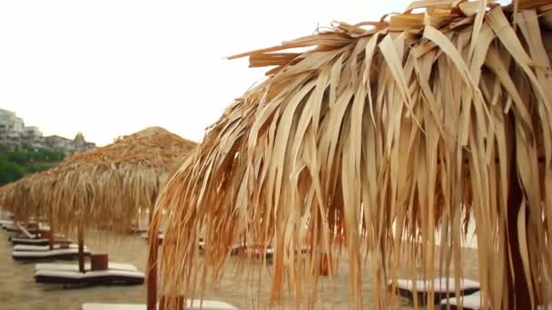 Очеретяна парасолька від сонця на пляжі — стокове відео