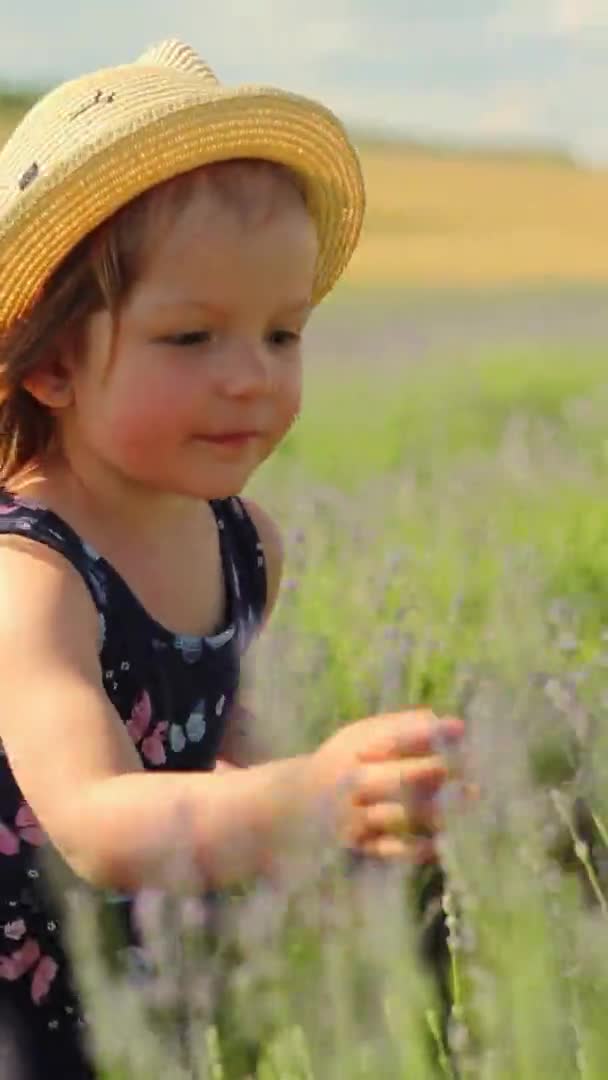 Krásná holčička v klobouku sbírá kytici levandule. Svisle — Stock video