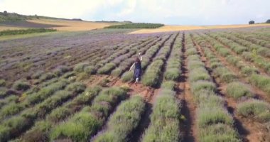 Şapkalı kadın lavanta tarlasında neşeyle koşuyor.
