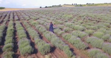 Şapkalı kadın lavanta tarlasında yürüyor.