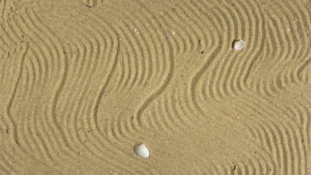 Animación Stop motion con máscara protectora amarilla sobre el fondo de arena — Vídeos de Stock