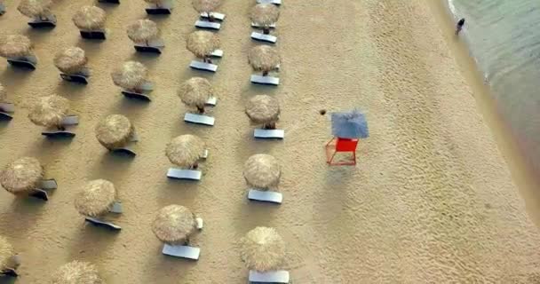 Drone camera rising over reed umbrellas on the empty sandy beach — Stock Video