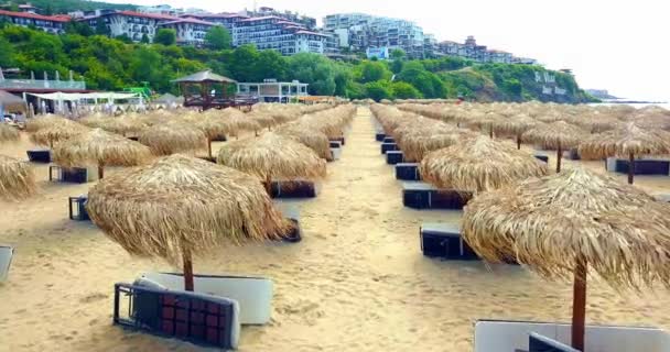 Kamera drona wznosząca się nad parasolami trzcinowymi na bułgarskiej plaży — Wideo stockowe