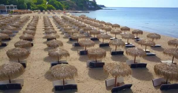 Drone view op rietparasols op het zandstrand, Bulgarije — Stockvideo