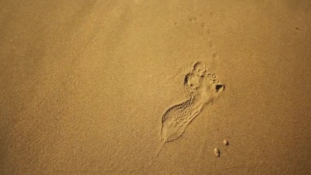 Vague de mer lavant empreinte de pas sur le bord de mer d'été — Video