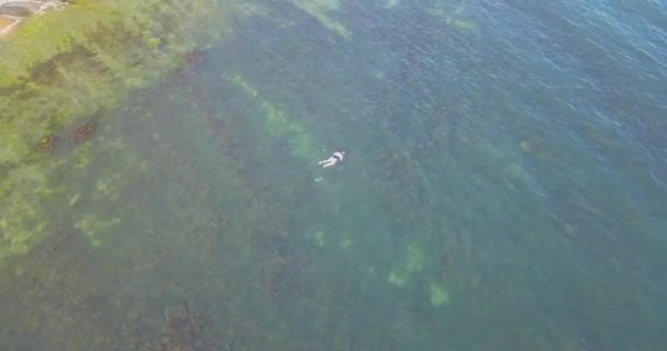 Kobieta pływająca w czystym morzu, widok z drona — Wideo stockowe