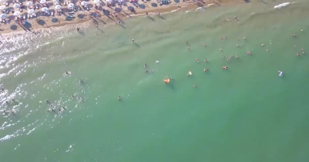 Vue aérienne de la plage d'été avec des gens dans l'eau — Video