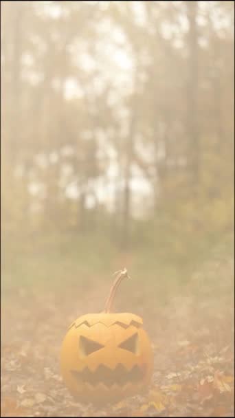Abóbora de Halloween esculpida com fumo. Formato vertical — Vídeo de Stock