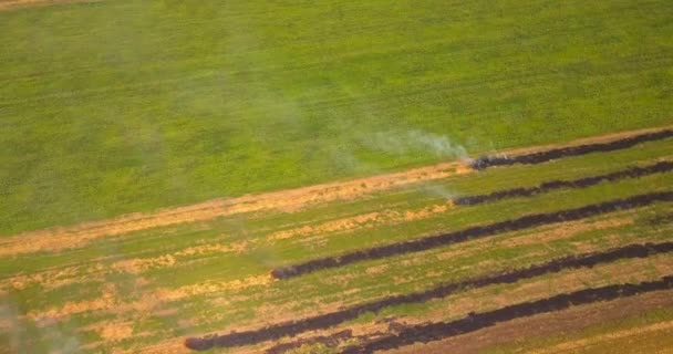 Вид зверху на вогонь на полі в сільській місцевості — стокове відео