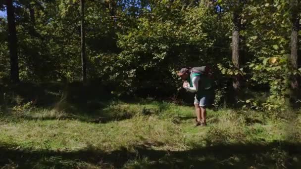 Stop motion de um viajante com uma tenda na floresta — Vídeo de Stock