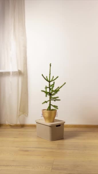 Christmas tree decoration — Stock Video
