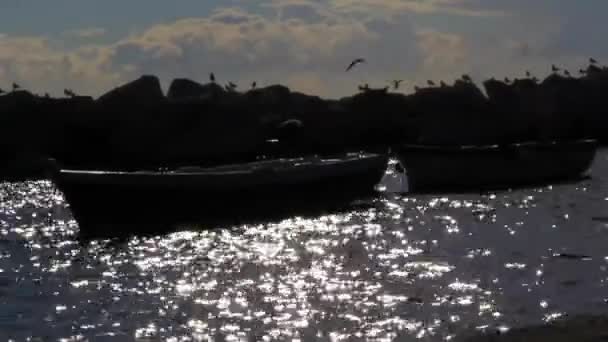 Waterscape. Boten op de achtergrondverlichting — Stockvideo