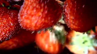 Berry, su kabarcıkları ile çilek