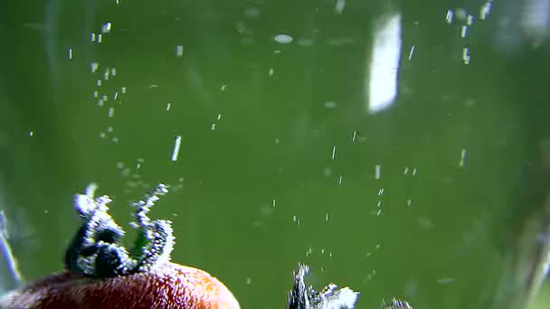 Verduras. Los tomates nadan en agua con burbujas — Vídeos de Stock