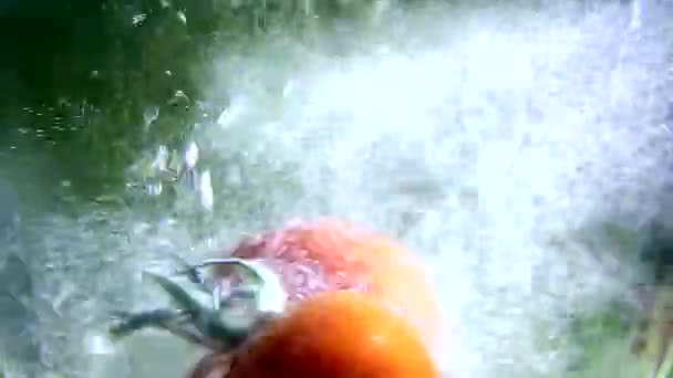 Vegetables. Tomatoes falling into water with bubbles — Stock Video