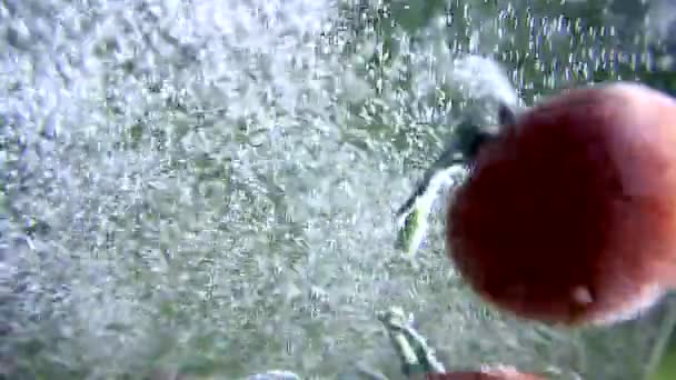 Des légumes. Tomates tombant dans l'eau avec des bulles — Video