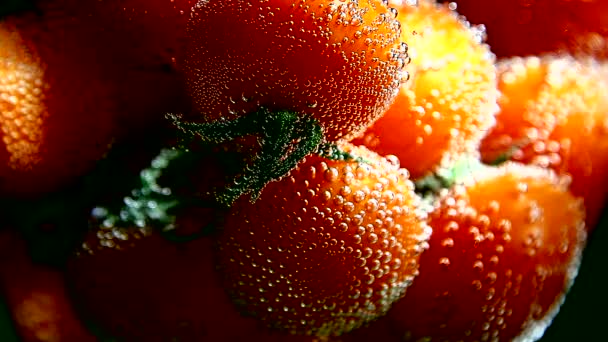 Verduras. Tomates en agua con burbujas — Vídeo de stock