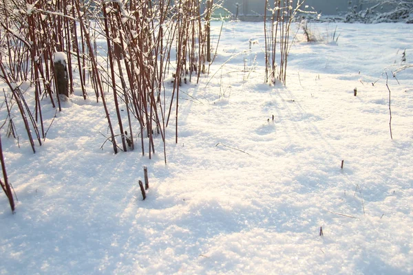 Ramas de aldea de invierno — Foto de Stock