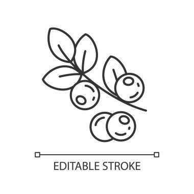 Yabanmersini pikseli mükemmel doğrusal simge. Doğal organik meyveler. Sağlıklı, tatlı yemek malzemeleri. İnce çizgi özelleştirilebilir illüstrasyon. Contour sembolü. Vektör izole çizim. Düzenlenebilir vuruş