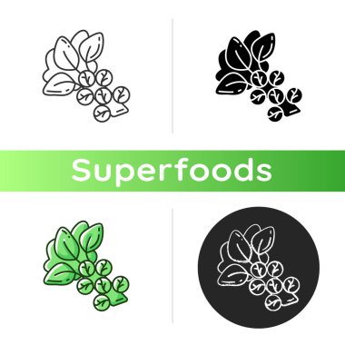 Brüksel lahanası ikonu. Sağlıklı Cabbege tipleri. Çevre yiyecekleri çeşitliliği. Doğal yemek seçenekleri. Vitamin dolu sebzeler. Lineer siyah ve RGB renk stilleri. İzole vektör çizimleri