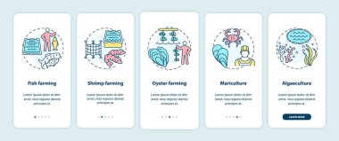 Aquaculture mobil uygulama sayfası ekranında kavramlarla birlikte. Mariculture. Deniz mahsulleri çiftliği tipleri 5 aşamalı grafik talimatları inceliyor. RGB renk resimleriyle UI vektör şablonu