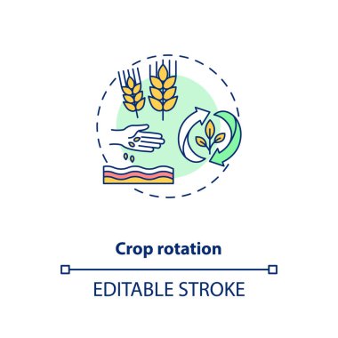 Ekin rotasyonu konsepti simgesi. Organik tarım ilkeleri. Farklı bitki türleri yetiştiriyorlar. Bahçıvanlık fikri ince çizgi çizimi. Vektör izole edilmiş RGB renk çizimi. Düzenlenebilir vuruş