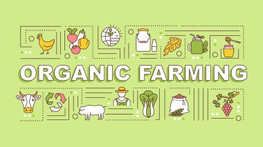 Organik tarım kelimesi afiş kavramını içeriyor. Doğal üretim. Yeşil et. Sağlıklı bir yaşam tarzı. Yeşil arkaplanda doğrusal simgeleri olan bilgi grafikleri. İzole tipografi. Vektör çizgisi RGB renk çizimi
