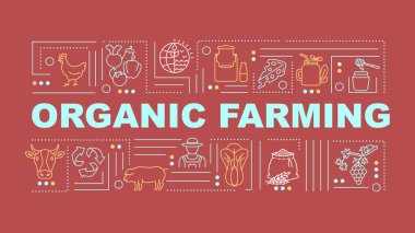 Organik tarım kelimesi afiş kavramını içeriyor. Yeşil et. Sağlıklı bir yaşam tarzı. Vejetaryen bahçıvanlığı. Kırmızı arkaplanda doğrusal simgeleri olan bilgi grafikleri. İzole tipografi. Vektör çizgisi RGB renk çizimi