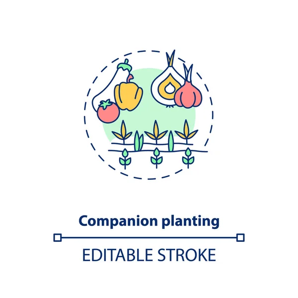 Ícone Conceito Plantação Companheiro Princípios Agricultura Biológica Vegetais Cultivando Fazenda —  Vetores de Stock