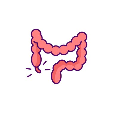 Apandisit RGB renk simgesi. Apandis iltihabı. Sağ alt karında ağrı var. Sindirim bozukluğu. Kalın bağırsak. Karnı şişti. Patlama. Ciddi bir durum. İzole vektör illüstrasyonu