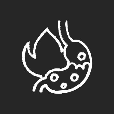 Mide ekşimesi siyah arka planda beyaz tebeşir simgesi. Asit reflüsü. Kemiren acı. Rahatsızlık. Hazımsızlık. Karnımda rahatsız edici bir his var. Göğüs ortasında yanma. İzole edilmiş vektör karatahta çizimi