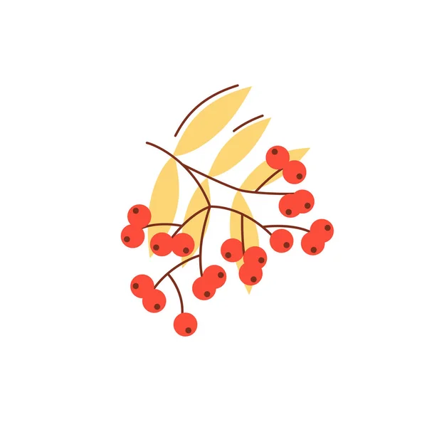 Rowanberry Fall Season Flat Vector Abstract Element Générosité Naturelle Des — Image vectorielle