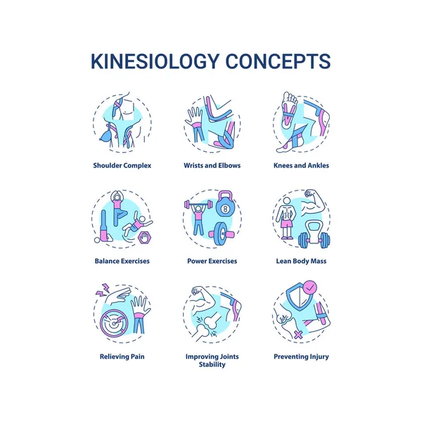 Набір Піктограм Концепції Кінезіології Вправи Аеробіки Спортивні Тренування Рух Людського — стоковий вектор
