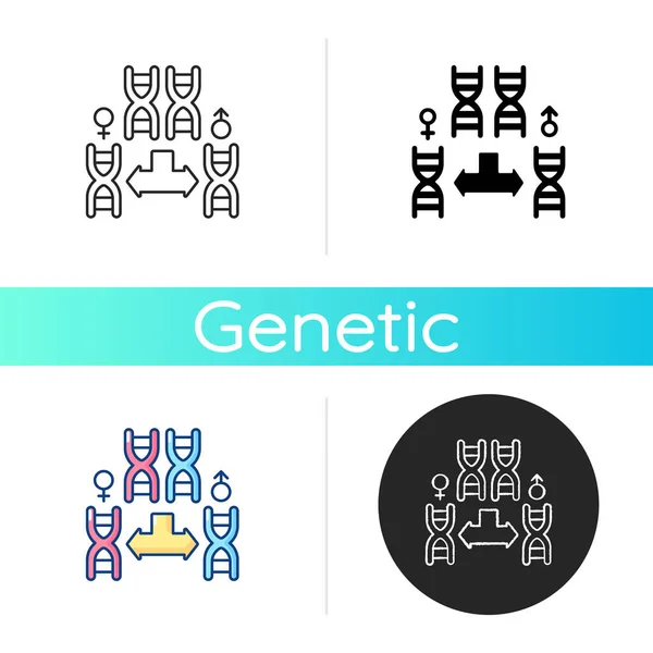 Chromosome Division Icon Genetic Engineering Gene Helix Male Female Chromosome — Stock Vector