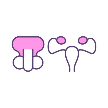 Human reproductive system RGB color icon. Reproductive genitals in woman and man. Uterus and fallopian tubes. Penis, scrotum and testicles. External and internal organs. Isolated vector illustration