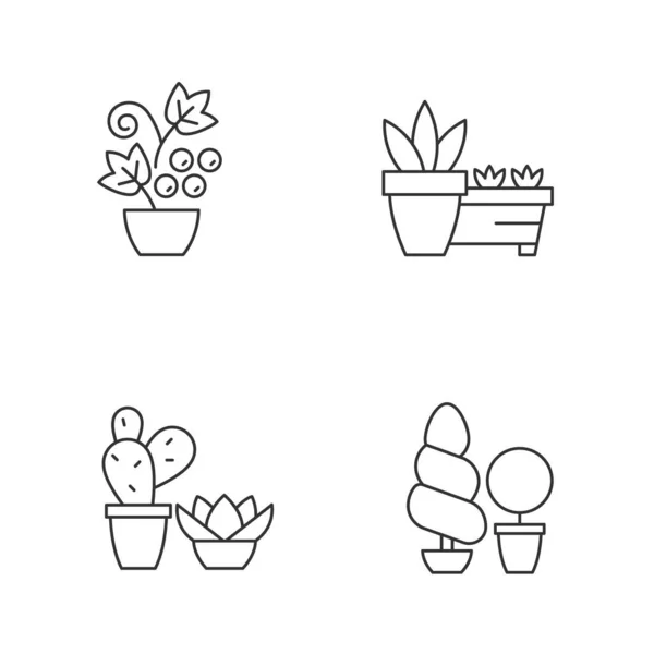 Tuinieren Winkel Categorieën Lineaire Pictogrammen Ingesteld Succulenten Cactus Groeien Een — Stockvector