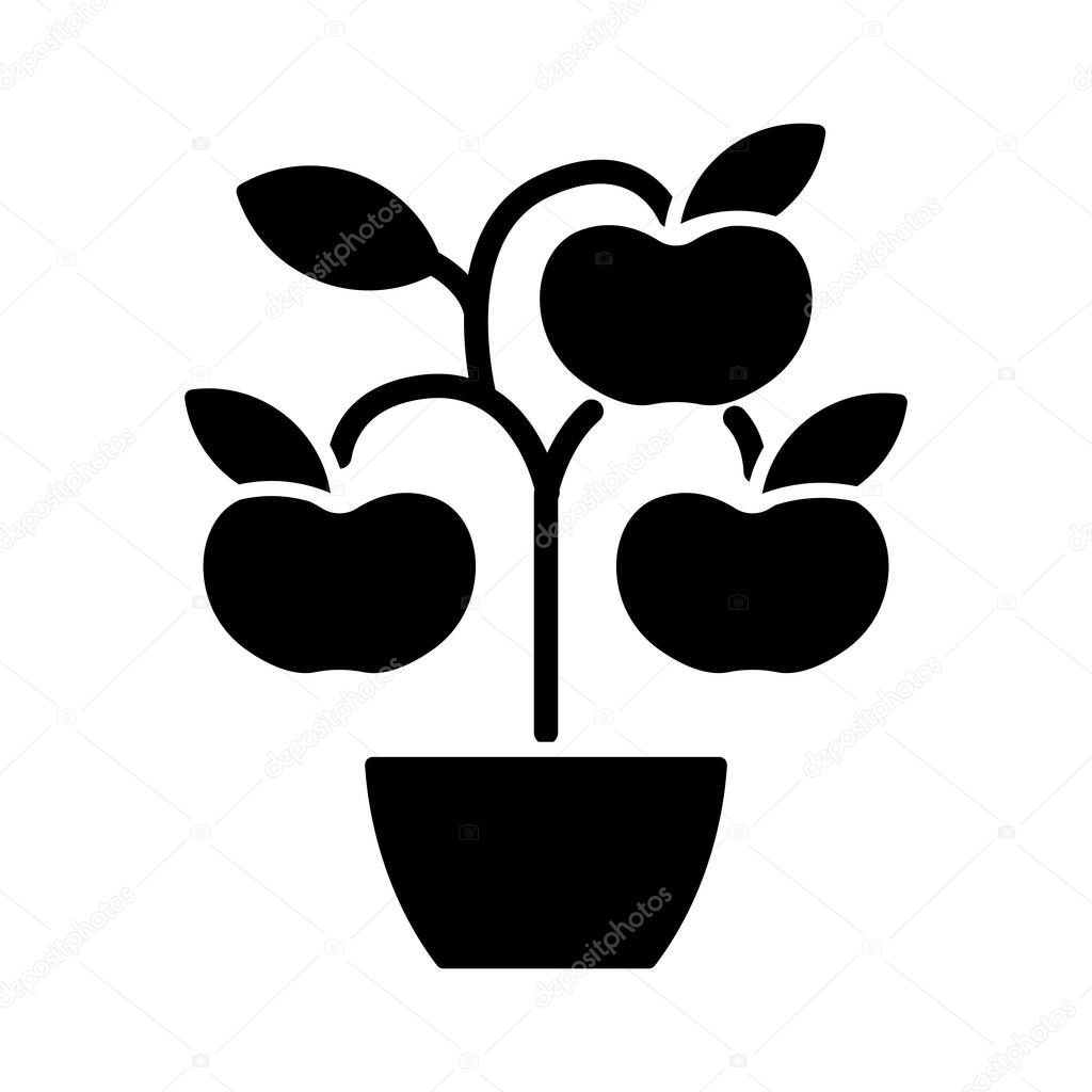 Fruit trees shrubs black glyph icon. Growing natural foods on trees in house garden. Gardening hobby items. Increasing plants amount. Silhouette symbol on white space. Vector isolated illustration