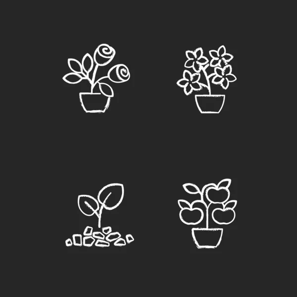 Gardening Store Categories Chalk White Icons Set Black Background Flowering — Stock Vector