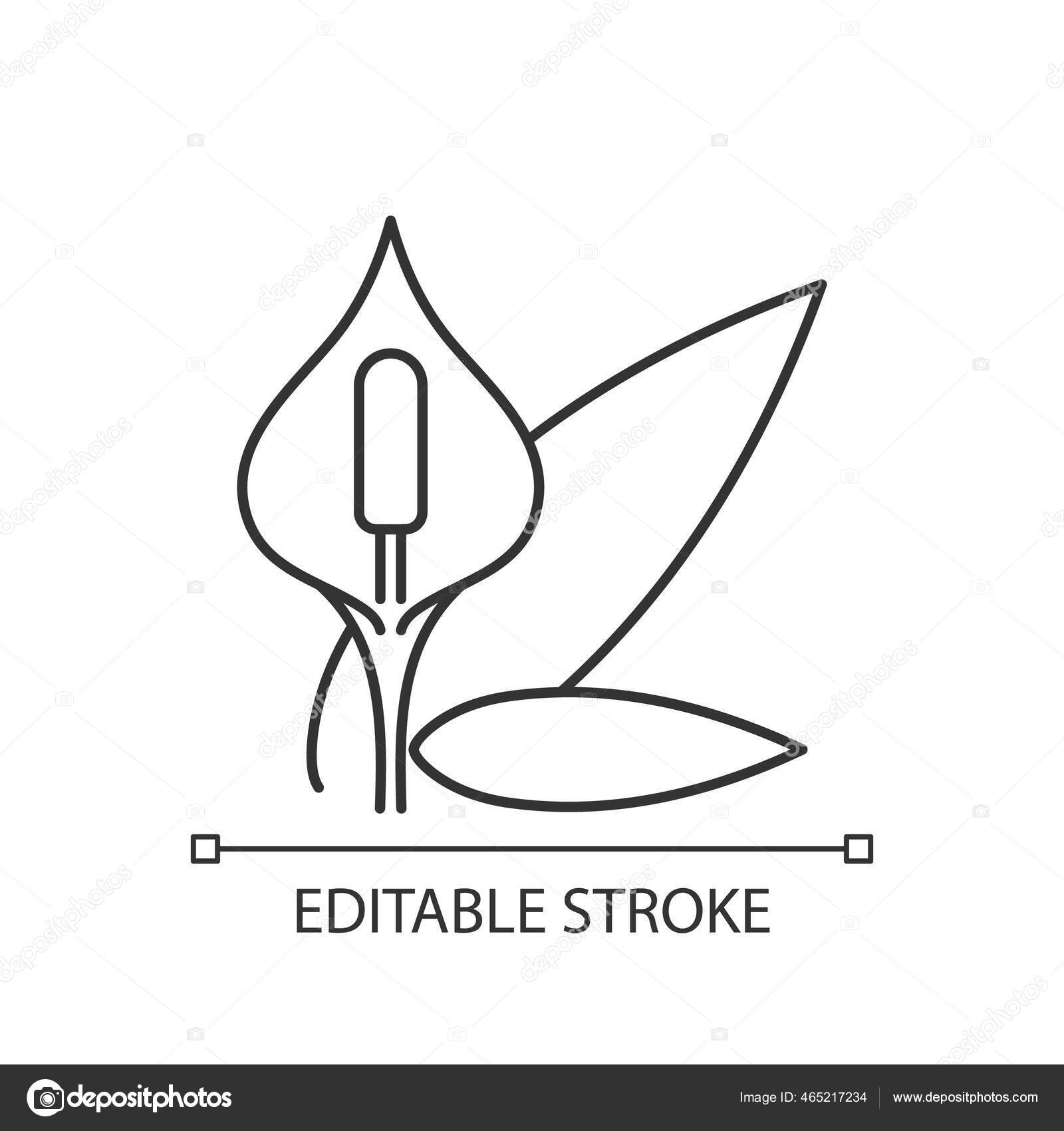 Spathiphyllum线形图标和平百合花花粉过敏家庭植物开花常见的过敏原细线可定制的示例绕道标志矢量孤立的轮廓图可编辑笔划 图库矢量图像 C